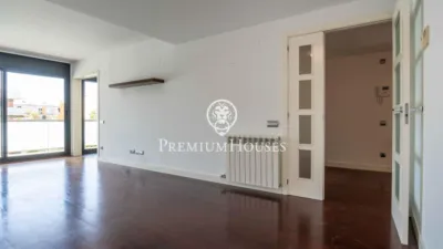 Apartment in La Plana photo 3