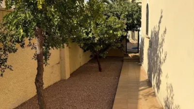 Chalet in Playa Flamenca photo 10