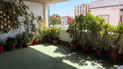 House in San Pedro-Gabriel Miró-María Guerrero photo 20