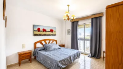 Apartment in Hoyo del Membrillo photo 13