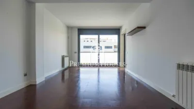 Apartment in La Plana photo 4