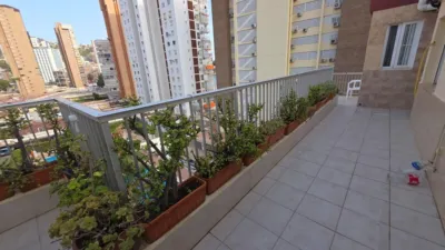 Piso – Benidorm - Vista 3