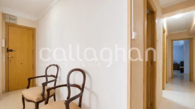 Apartment in Plaza de la Virgen de Vallivana photo 23