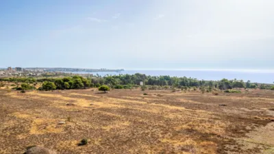 Piso – Torrevieja, Urbanización Rocío del Mar, Urbanización Punta Prima - Vista 5