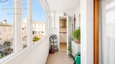 Apartment on Carrer de Faust Bonafé photo 24