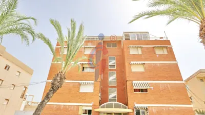Piso – Guardamar del Segura, Urbanització Pinar de Guardamar - Vista 2