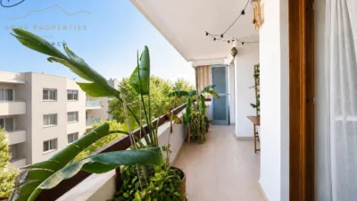 Apartment on Carrer de Faust Bonafé photo 42