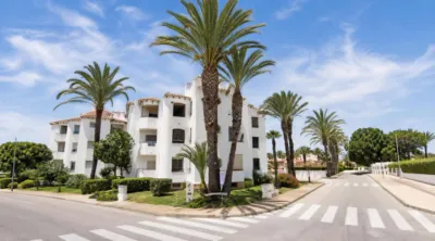 Terraced House in El Palmar-Los Molinos photo 24