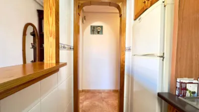 Apartment in Torrevieja - Més