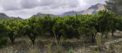 Terreno en venta en Forna - Vista 2