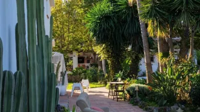 Rustic finca on Calle 2, No. 2 photo 26