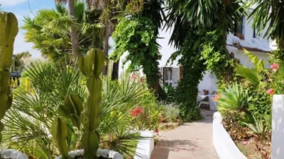 Rustic finca on Calle 2, No. 2 photo 28