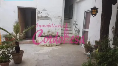 House in the City Centre photo 3