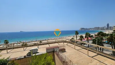 Pis – Benidorm - Vista 3