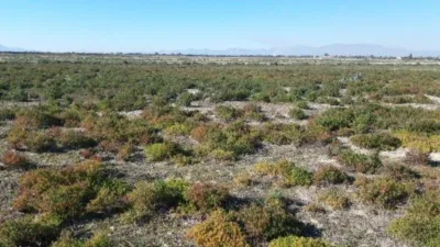 Casa – Elche/Elx, la Vila, el Baix Vinalopó - Vista 2