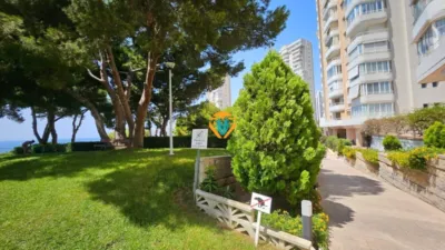 Apartment in 1st Line photo 30