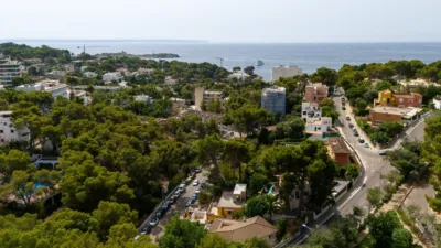 Villa in Portals Nous - Bendinat photo 46
