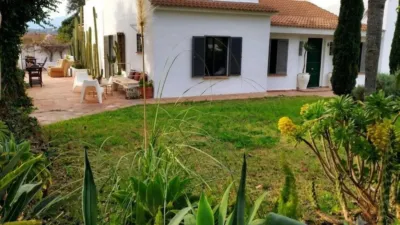 Rustic finca on Calle 2, No. 2 photo 23
