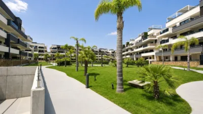 Apartment in Punta Prima photo 26