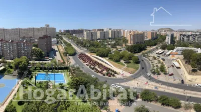 Pis – Alicante - Alacant - Vista 2