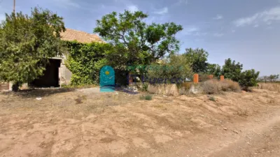 Rustic Finca in Tallante photo 2