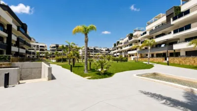 Apartment in Punta Prima photo 27