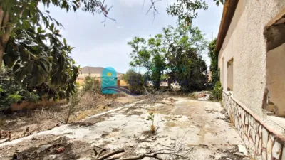 Rustic Finca in Tallante photo 39