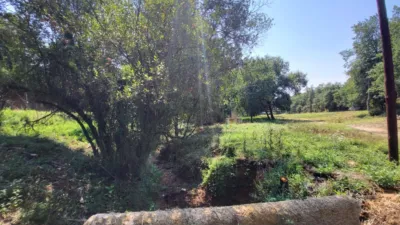Rustic farm on Calle Ds Can Tarres Ii Polígono 10 Parcela photo 37