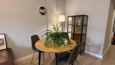 Apartment on Calle San Pascual photo 7