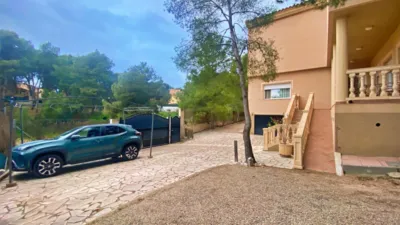 Chalet in La Charca photo 3