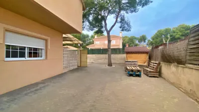 Chalet in La Charca photo 4
