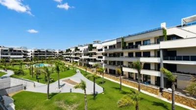 Apartment in Punta Prima photo 25