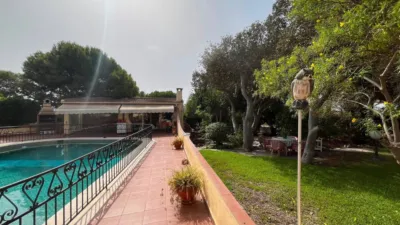Casa – Elx - Elche - Vista 2