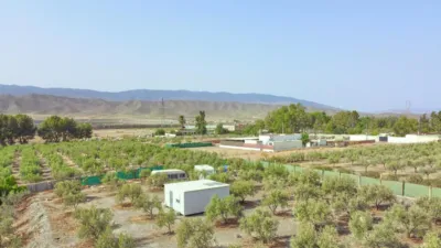 Rustic finca in 04200 photo 8