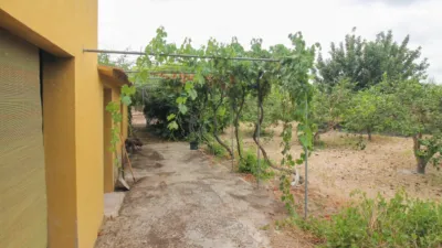 Finca rústica en Partida Cachap photo 34