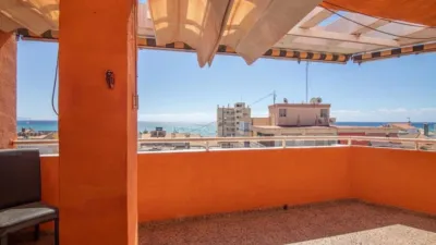 Attic in Campello Playa photo 17