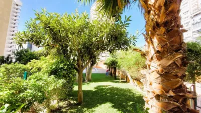 Apartment in the City Centre photo 26