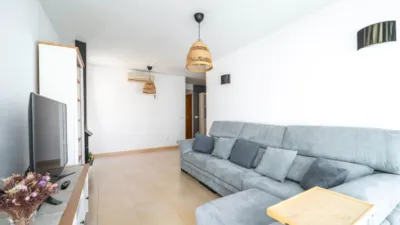 Penthouse in La Soledad Norte photo 4