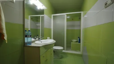 Miniatura 9