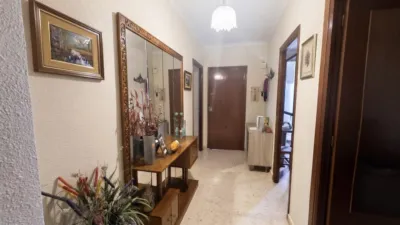 Apartment in La Carlota photo 6