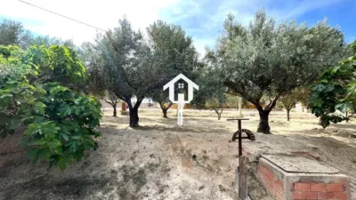 Rustic Finca on Carrer de Santa Anna photo 51