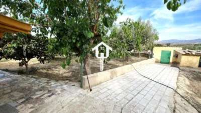 Rustic Finca on Carrer de Santa Anna photo 46