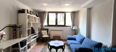 Chalet in Alpedrete photo 52