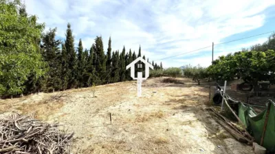 Rustic Finca on Carrer de Santa Anna photo 55
