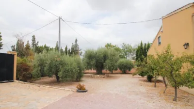 Finca rústica en Partida Cachap photo 37