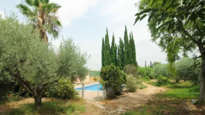 Finca rústica en Partida Cachap photo 31