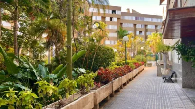Apartment on Calle de Elías Ramos González photo 4