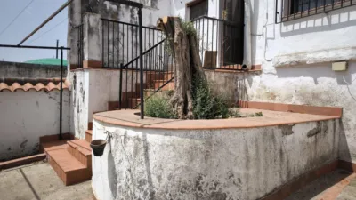 House in Andalucia photo 25