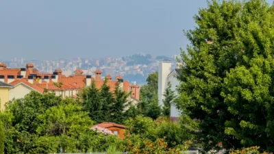 Top Floor Apartment in Somo photo 25