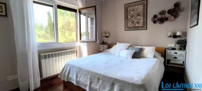 Chalet in Alpedrete photo 29